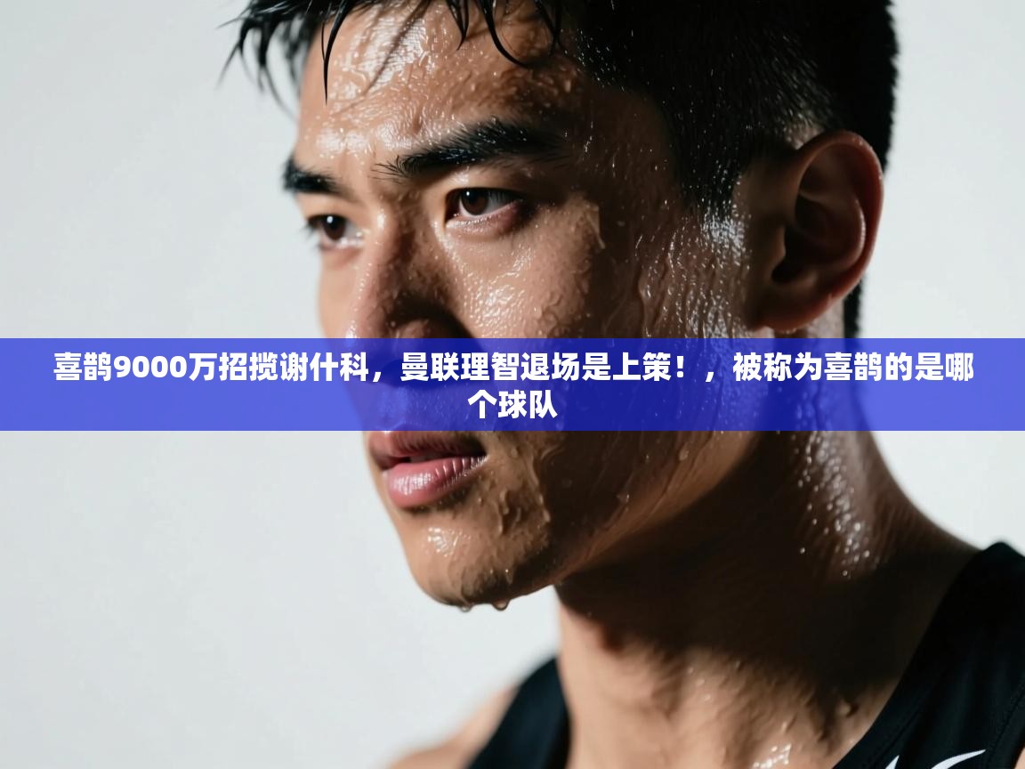 喜鹊9000万招揽谢什科，曼联理智退场是上策！，被称为喜鹊的是哪个球队