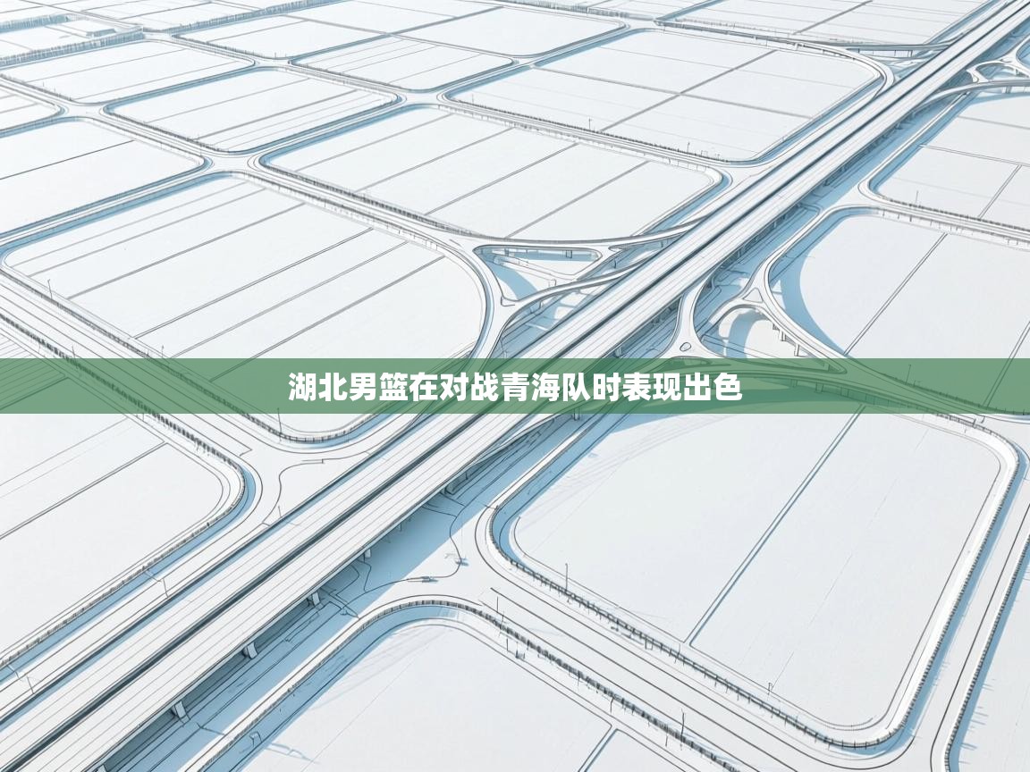 湖北男篮在对战青海队时表现出色  第2张