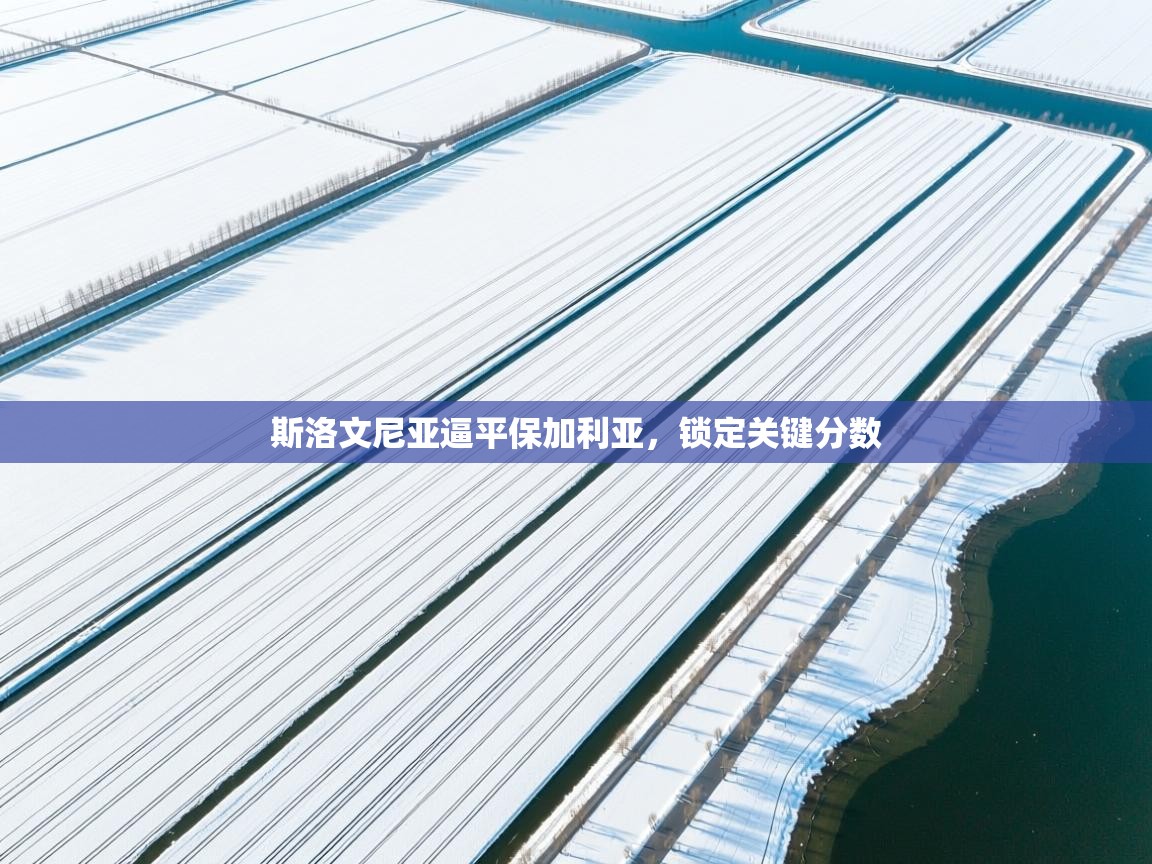 斯洛文尼亚逼平保加利亚，锁定关键分数