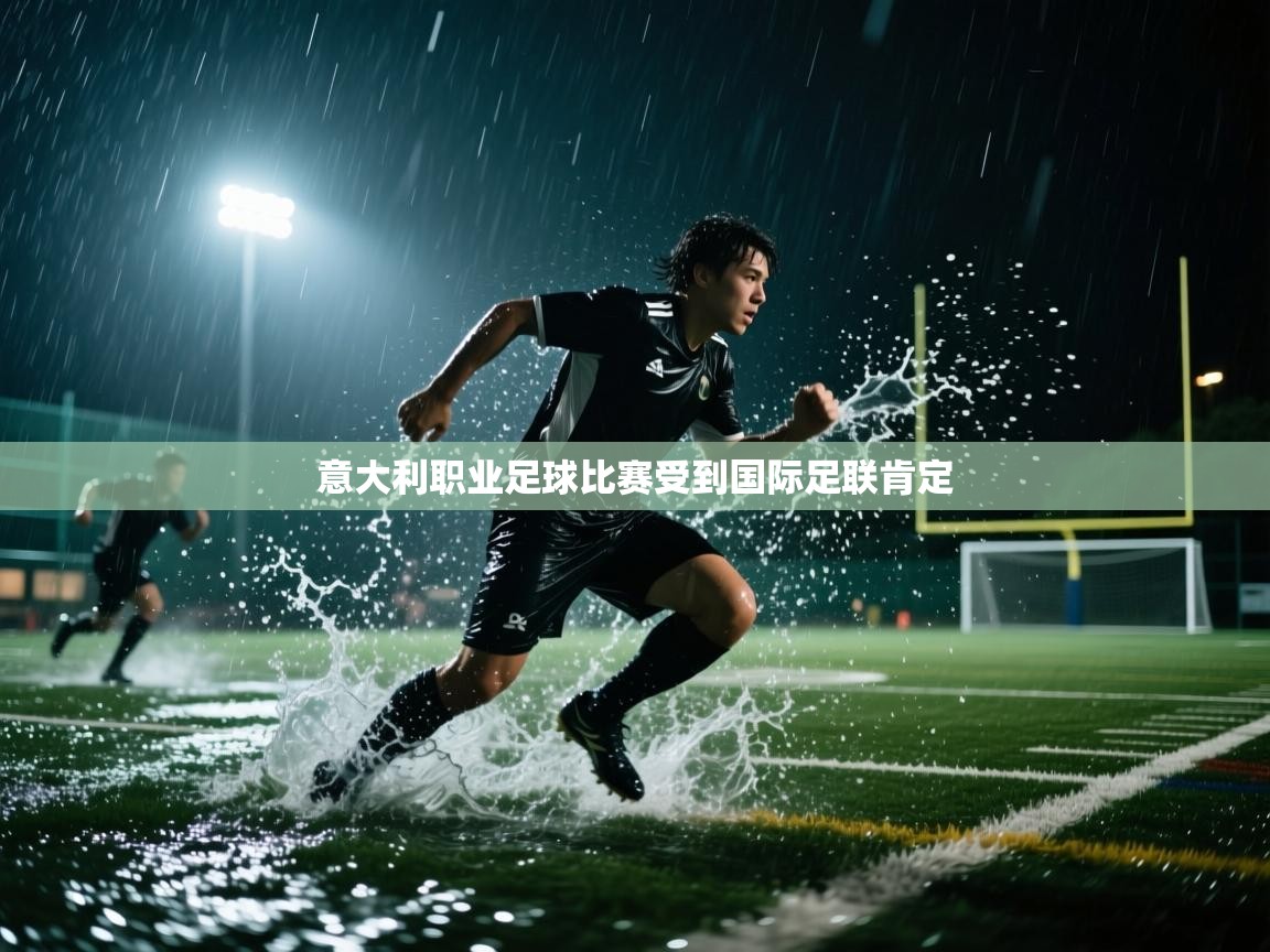 意大利职业足球比赛受到国际足联肯定